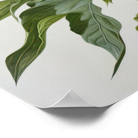 Witte Pioenrozen Bloemen Art Print Poster (Hoek)