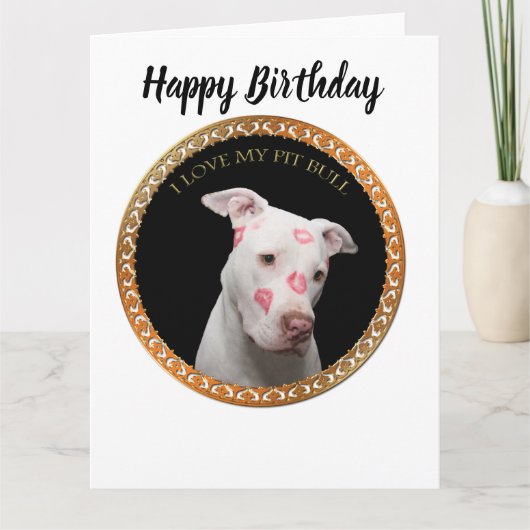 Witte pitbull met rode kussen over zijn gezicht. kaart (Voorkant)