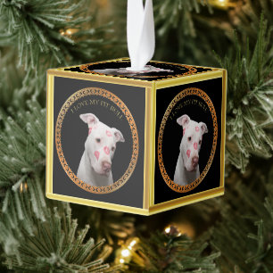 Witte pitbull met rode kussen over zijn gezicht. ornament