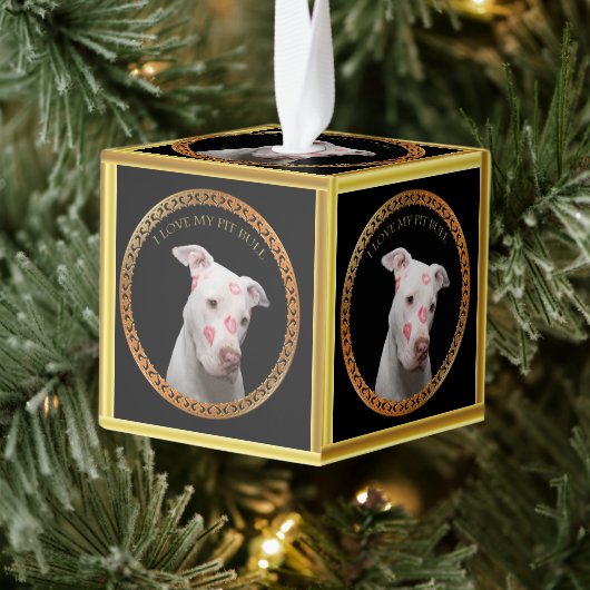Witte pitbull met rode kussen over zijn gezicht. ornament (Boom)