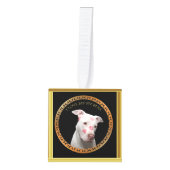 Witte pitbull met rode kussen over zijn gezicht. ornament (Voorkant)