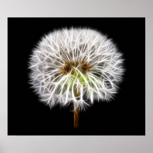 Witte Plant van de Dandelion Poster (Voorkant)