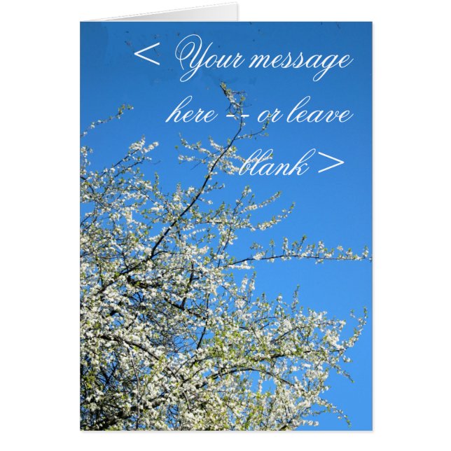 WITTE PLUMBLOSSEN (AANGEPAST) (Voorkant)