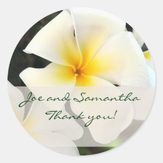 Witte Plumeria Bloem Dank u Sticker