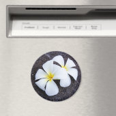 Witte Plumeria Bloem Frangipani Bloemen Lava Rock Magneet (Insitu (Vaatwasser))