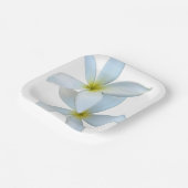 Witte Plumeria Blooms Papier Bord (Gebogen)