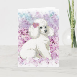 Witte Poedel in de Lilacs Art Print Kaart