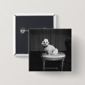 Witte poedel op de spoel B&W Vierkante Button 5,1 Cm (Voorkant /achterkant)