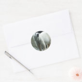 Witte Polar Beren Sticker (Envelop)