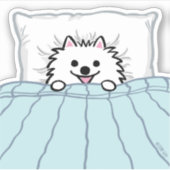 Witte pommeren Schattige hond geplukt in bed Sticker (Voorkant)