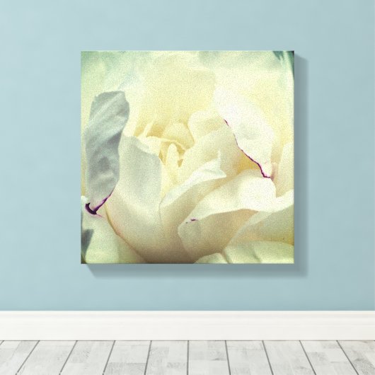 Witte pony-bloem dicht bij elkaar canvas afdruk (Insitu (Houten vloer))