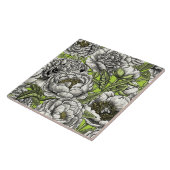 Witte pony-bloemen en -moten tegeltje (Zijkant)