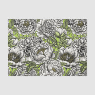 Witte pony-bloemen en -moten tissuepapier