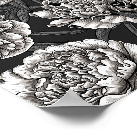 Witte pony bloemen op donkergrijs poster (Hoek)