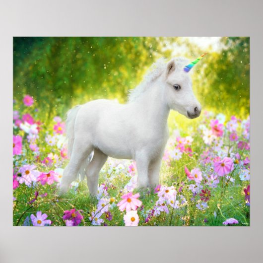 Witte Pony Eenhoorn Poster (Voorkant)