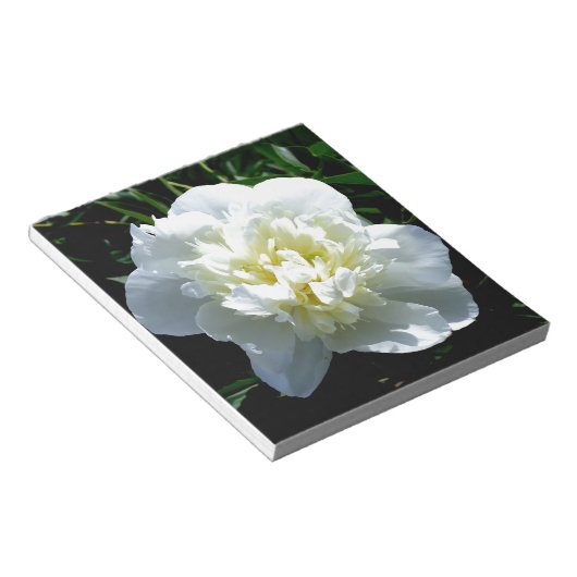 Witte pony notitieblok (Schuin)