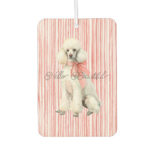 Witte Poodle Hond Hallo Mooi Luchtverfrisser