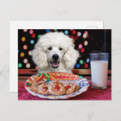Witte Poodle Kerstmis Feestdagenkaart (Voorkant / Achterkant)