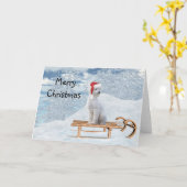 Witte Poodle Kerstmis Kaart (Gele Bloem)