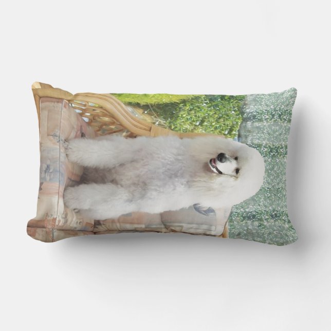 Witte Poodle Kussen (Voorkant)