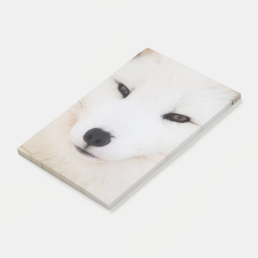 Witte poolvos in de sneeuw post-it® notes (Schuin)