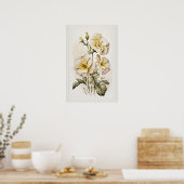 Witte Primrose Flowers Art Print Poster (Keuken)