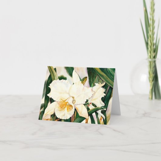 WITTE PRINSES-ORCHIDEE 2.95 KAART (Voorkant)