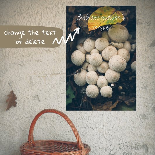Witte puffbalpaddenstoelen tussen herfstbladeren poster