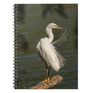 Witte Reiger Spiraal Foto Notitieboek