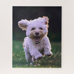 Witte Ren Poodle Aardige Hond Legpuzzel