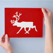 Witte rendiervis / Cariou Silhouette Flyer (Hand)