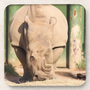 Witte Rhino Bier Onderzetter