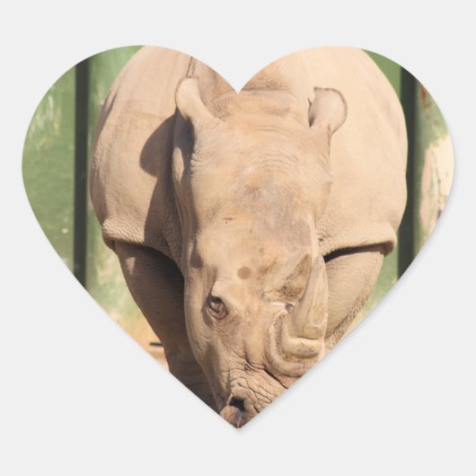 Witte Rhino Hart Sticker (Voorkant)