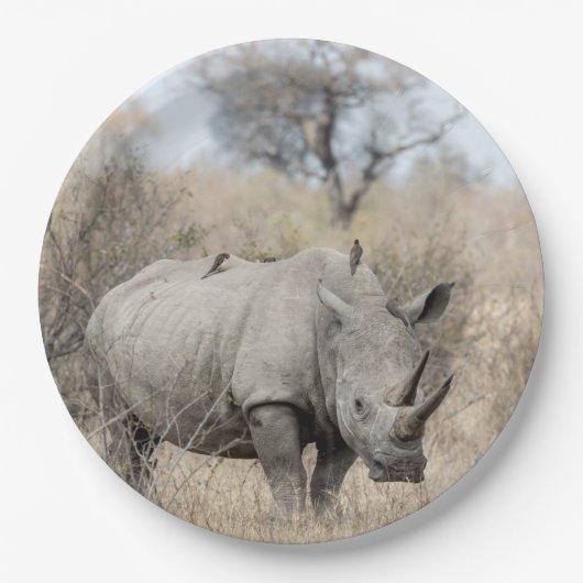Witte Rhino Papieren Bordje (Voorkant)
