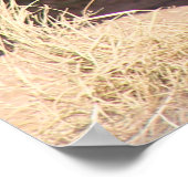 Witte rhino poster (Hoek)