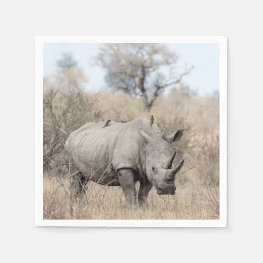 Witte Rhino Servet (Voorkant)