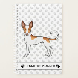 Witte & Rode Ibizan Hound Gladde Vacht Hond Met Te Planner