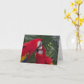 Witte Rode P Kaart (Gele Bloem)