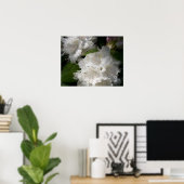 Witte rododendrons Soft Sketch Poster (Thuiskantoor)