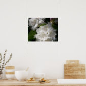Witte rododendrons Soft Sketch Poster (Keuken)