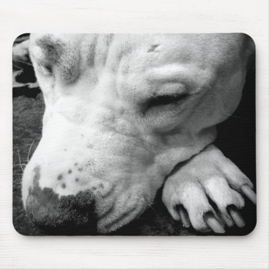 witte roeststier muismat (Voorkant)