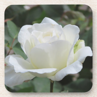 Witte Roos Bier Onderzetter