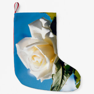 Witte roos, blauwe hemel kleine kerstsok