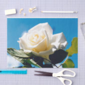 Witte roos - Het feestleven Tissuepapier (Craft)