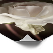 Witte roos met regendruppels Spiegel Abstract  Poster (Hoek)