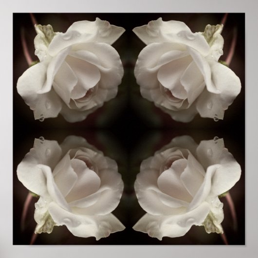 Witte roos met regendruppels Spiegel Abstract  Poster (Voorkant)