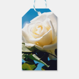 Witte roos onder blauwe hemel cadeaulabel