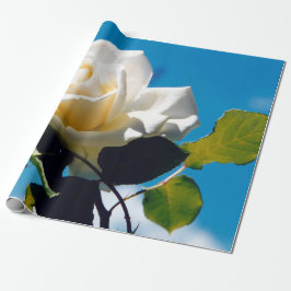 Witte roos onder blauwe hemel cadeaupapier