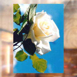 Witte roos onder blauwe hemel raamsticker