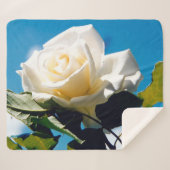 Witte roos onder blauwe hemel sherpa deken (Voorkant (horizontaal))